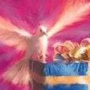 Meet your Posher, Janie